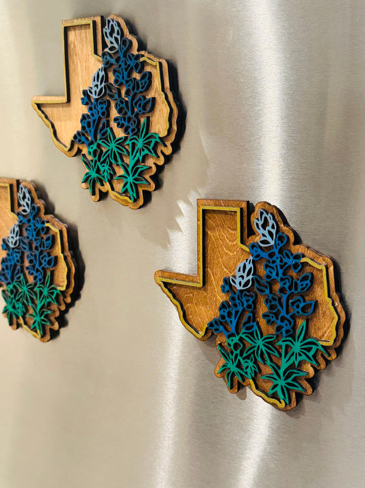 Texas laser cut magnets