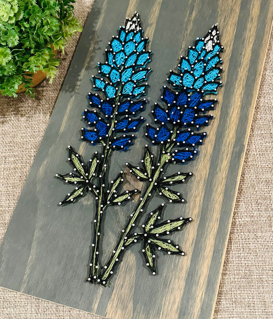 Bluebonnet String Art